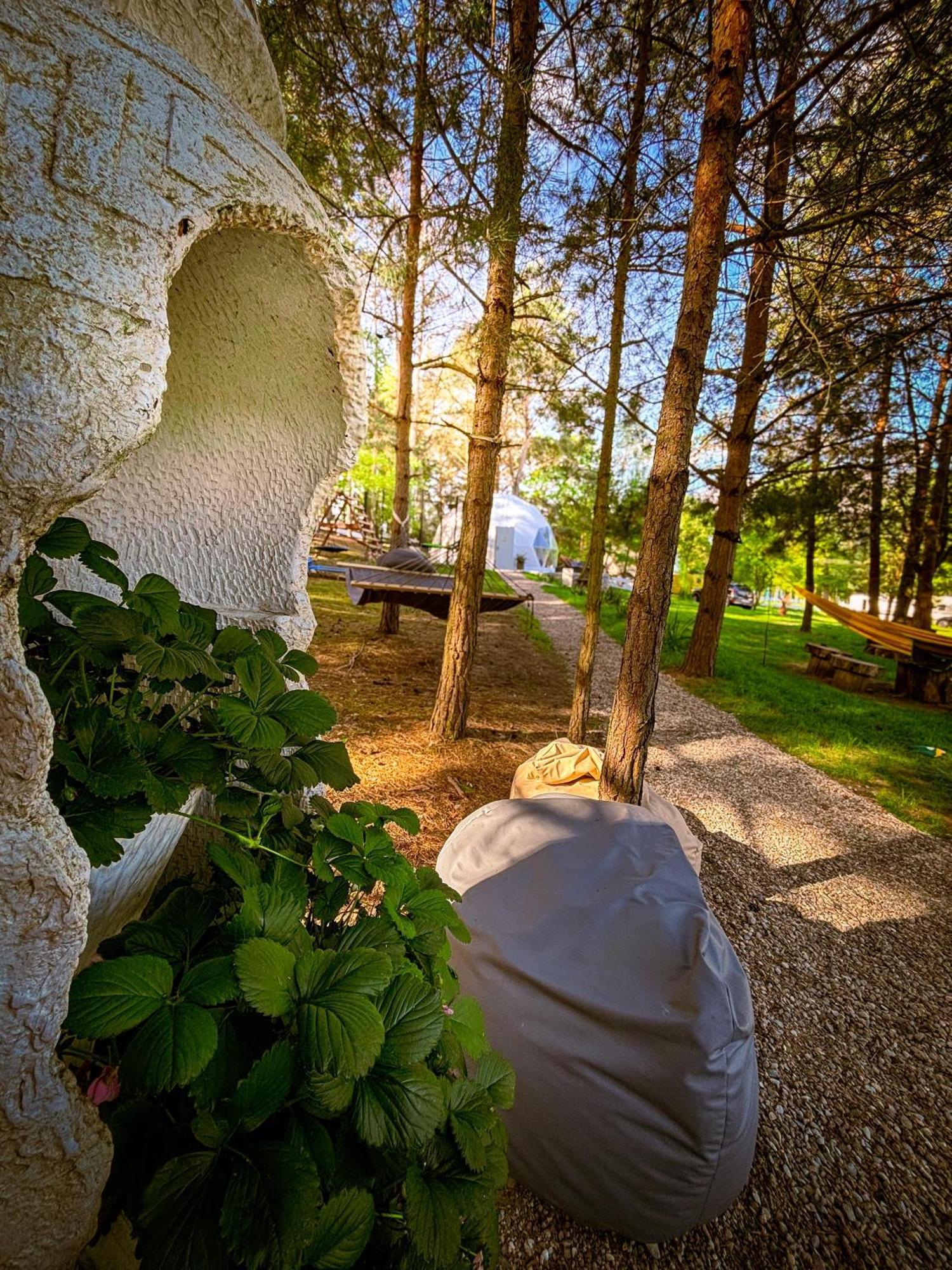 מלון Cedynia Glamping Pod Orlem מראה חיצוני תמונה