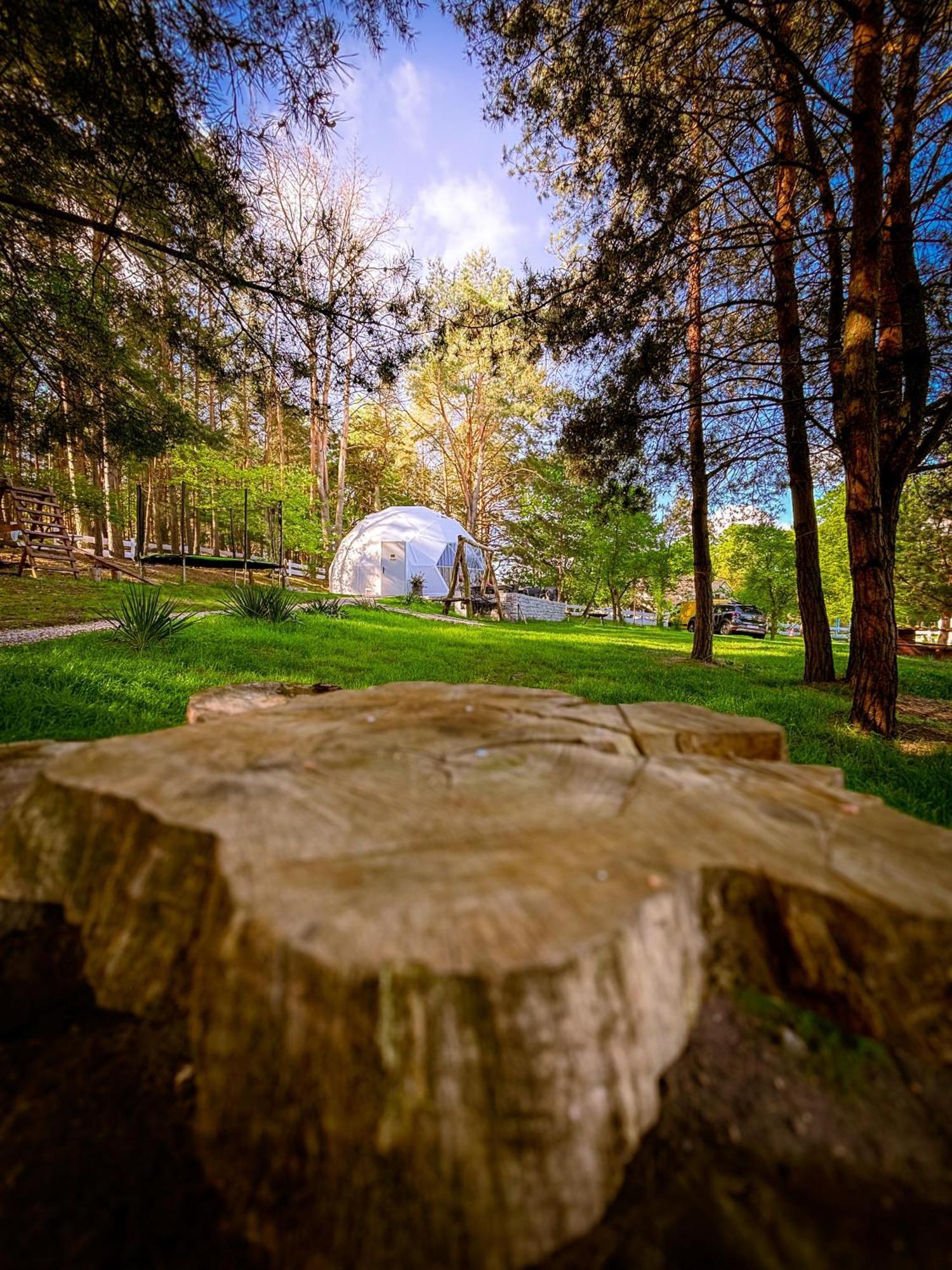 מלון Cedynia Glamping Pod Orlem מראה חיצוני תמונה